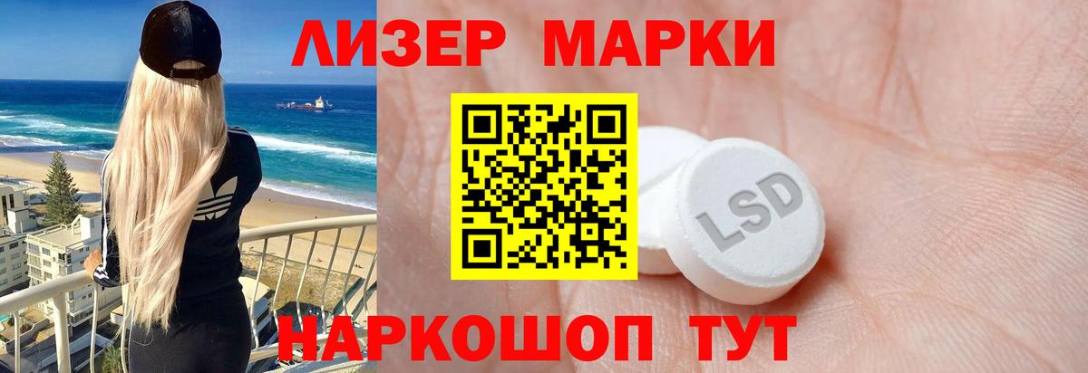 Псилоцибиновые грибы Казань
