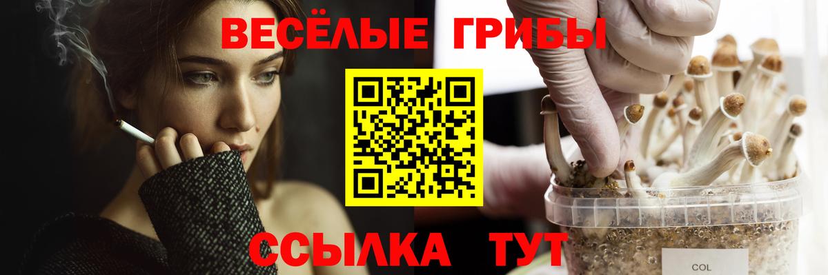 Галлюциногенные грибы ЛСД  Вход с VPN  Казань 